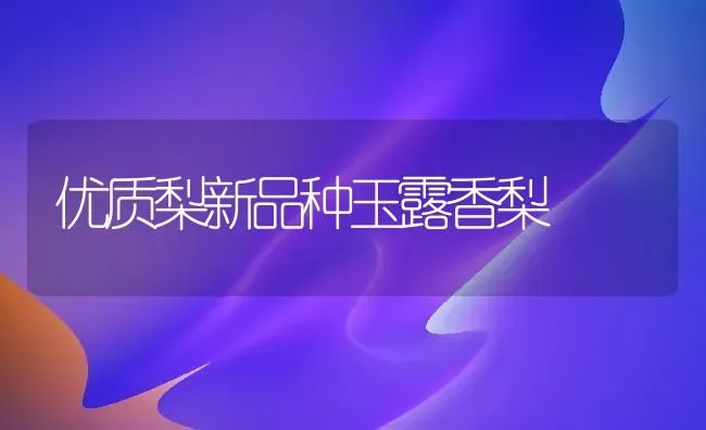 优质梨新品种玉露香梨 | 养殖技术大全