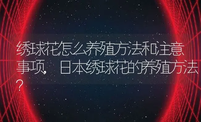 绣球花怎么养殖方法和注意事项,日本绣球花的养殖方法？ | 养殖科普