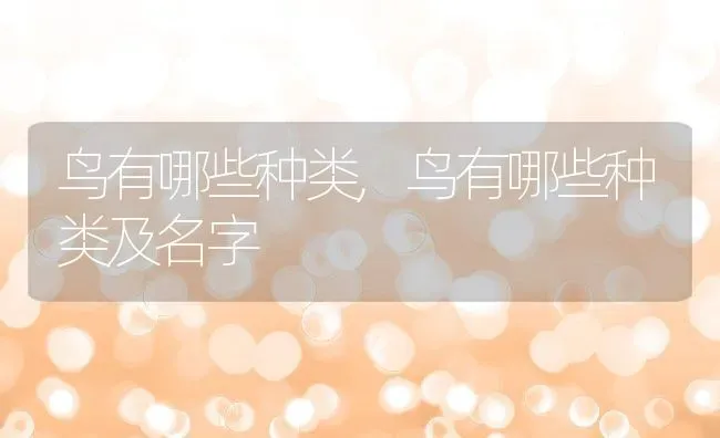 鸟有哪些种类,鸟有哪些种类及名字 | 养殖科普