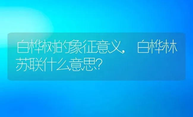 白桦树的象征意义,白桦林苏联什么意思？ | 养殖科普