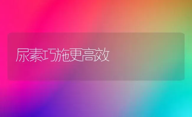 尿素巧施更高效 | 养殖技术大全