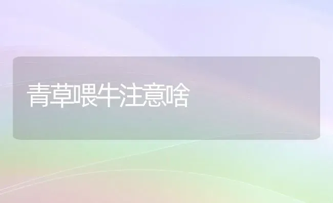 青草喂牛注意啥 | 养殖技术大全