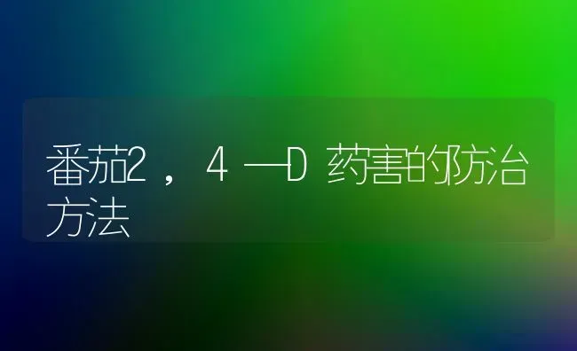 番茄2,4—D药害的防治方法 | 养殖技术大全