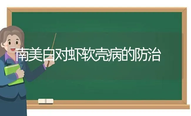 南美白对虾软壳病的防治 | 养殖技术大全