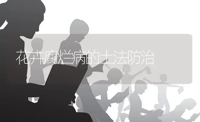 花卉腐烂病的土法防治 | 养殖技术大全