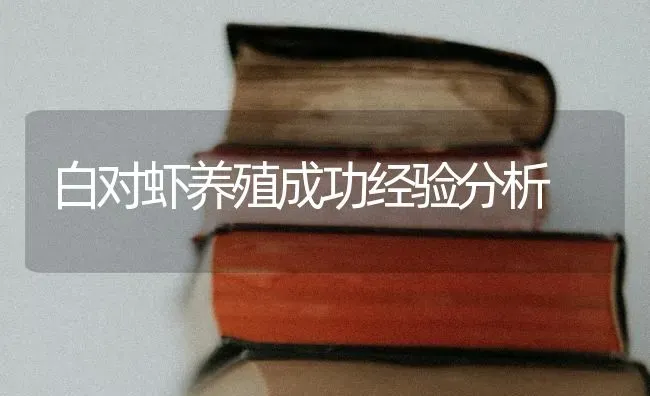 白对虾养殖成功经验分析 | 养殖技术大全