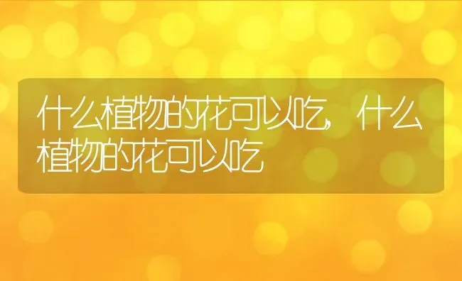 狗和狗怎么交配,狗狗是怎么锁住的图片 | 养殖科普