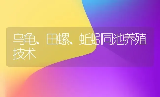 乌龟、田螺、蚯蚓同池养殖技术 | 养殖技术大全