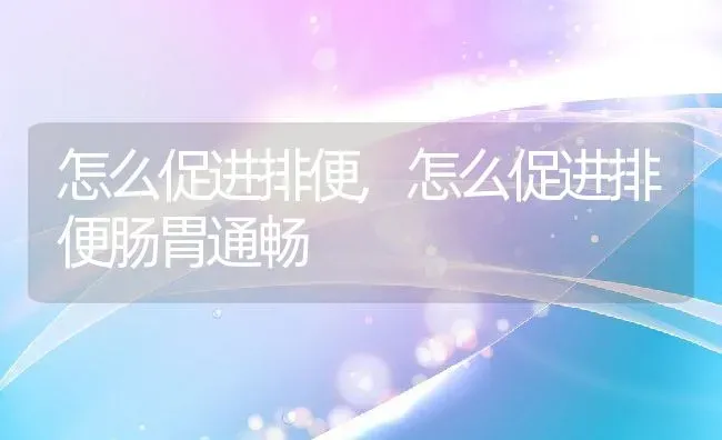 怎么促进排便,怎么促进排便肠胃通畅 | 养殖科普