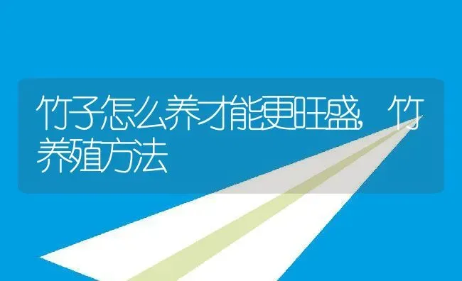 竹子怎么养才能更旺盛,竹养殖方法 | 养殖学堂