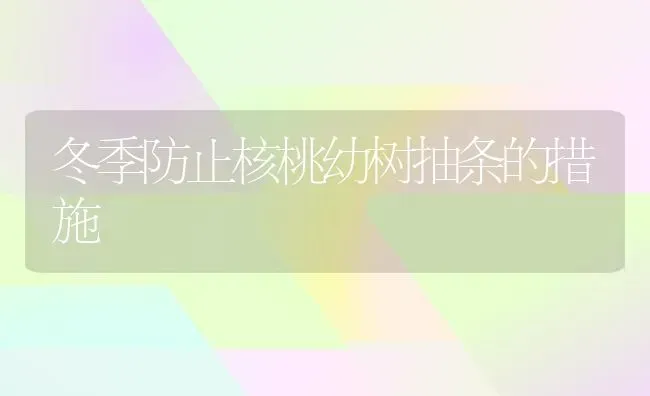 冬季防止核桃幼树抽条的措施 | 养殖知识