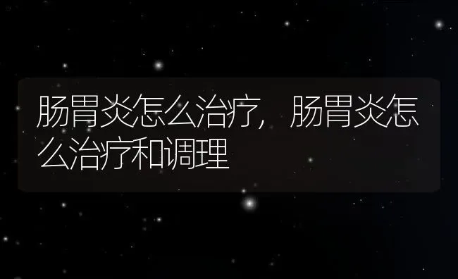 肠胃炎怎么治疗,肠胃炎怎么治疗和调理 | 养殖资料