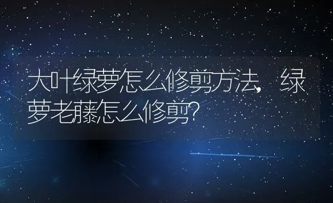 大叶绿萝怎么修剪方法,绿萝老藤怎么修剪？ | 养殖学堂