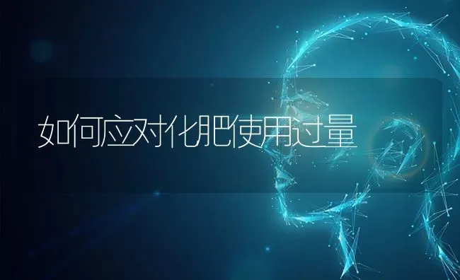 如何应对化肥使用过量 | 养殖知识