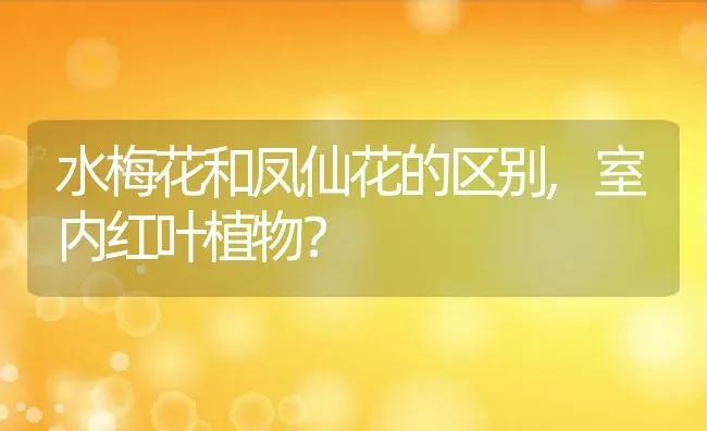 水梅花和凤仙花的区别,室内红叶植物？ | 养殖科普