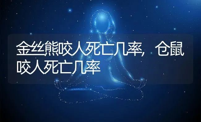 金丝熊咬人死亡几率,仓鼠咬人死亡几率 | 养殖科普