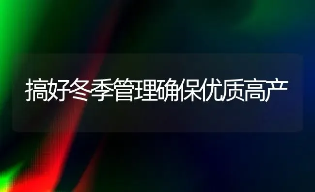 搞好冬季管理确保优质高产 | 养殖技术大全