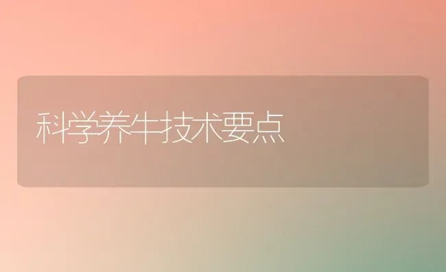科学养牛技术要点 | 养殖技术大全