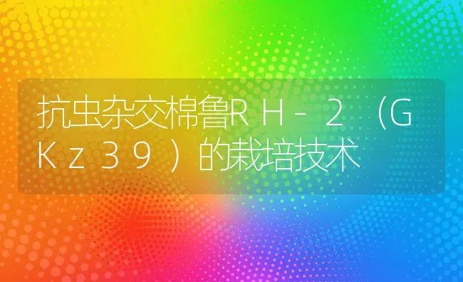 抗虫杂交棉鲁RH-2(GKz39)的栽培技术 | 养殖技术大全