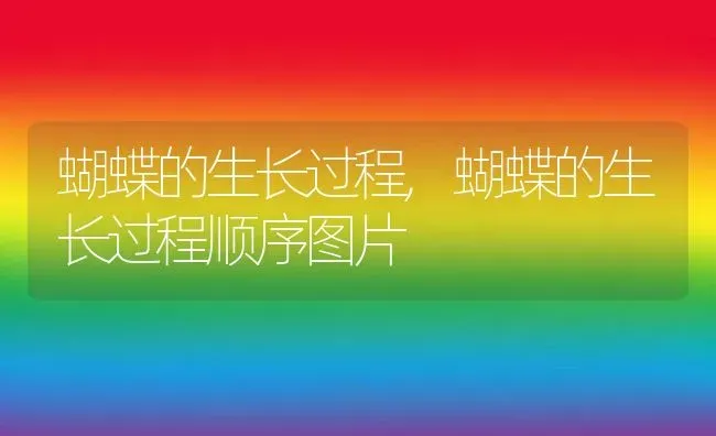 蝴蝶的生长过程,蝴蝶的生长过程顺序图片 | 养殖资料