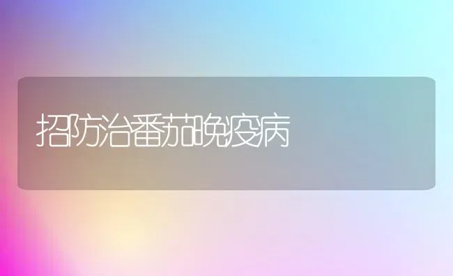 招防治番茄晚疫病 | 养殖技术大全
