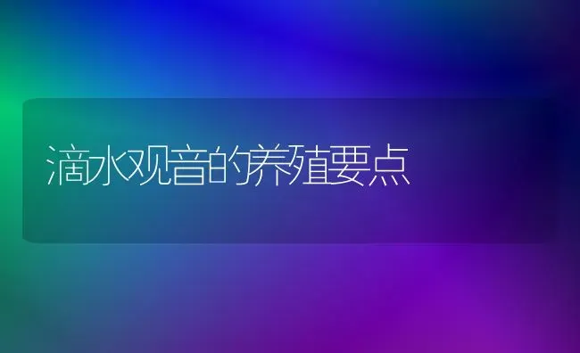 滴水观音的养殖要点 | 养殖技术大全