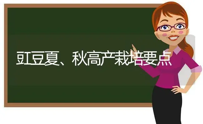 豇豆夏、秋高产栽培要点 | 养殖技术大全