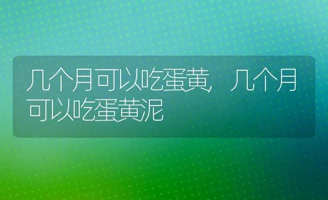 几个月可以吃蛋黄,几个月可以吃蛋黄泥 | 养殖科普