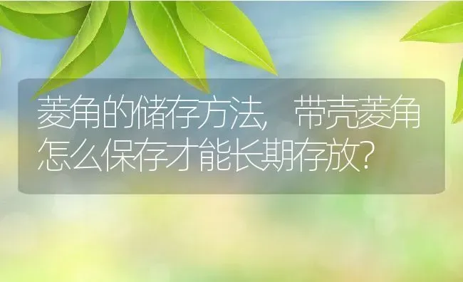 菱角的储存方法,带壳菱角怎么保存才能长期存放？ | 养殖科普