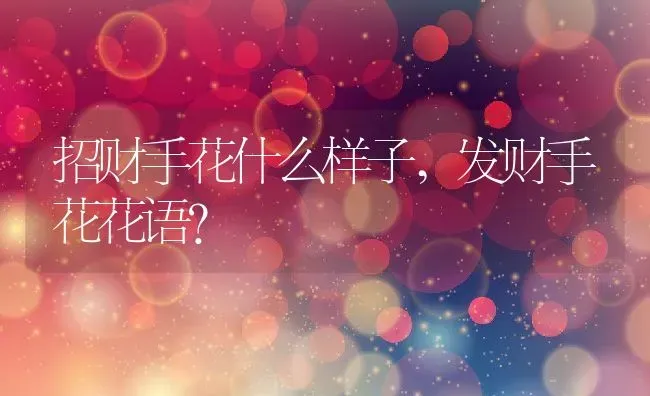 招财手花什么样子,发财手花花语？ | 养殖科普