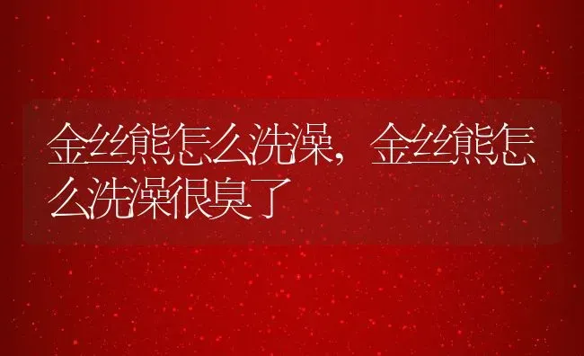 金丝熊怎么洗澡,金丝熊怎么洗澡很臭了 | 养殖资料