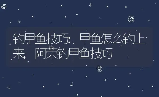 钓甲鱼技巧:甲鱼怎么钓上来,阿荣钓甲鱼技巧 | 养殖学堂