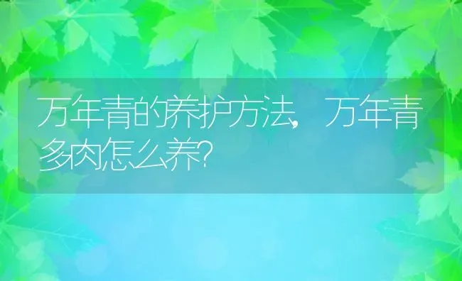 万年青的养护方法,万年青多肉怎么养？ | 养殖科普