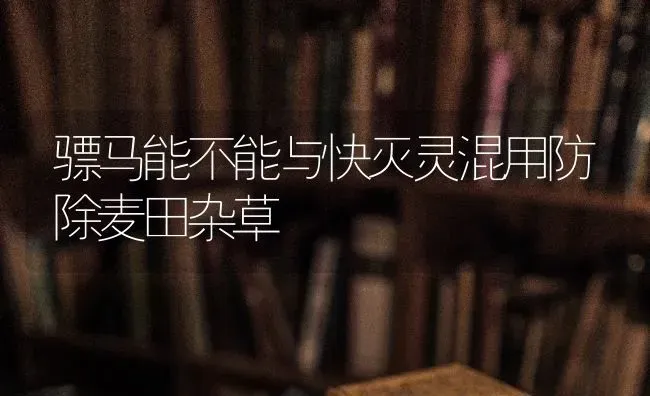 骠马能不能与快灭灵混用防除麦田杂草 | 养殖知识