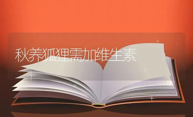 秋养狐狸需加维生素 | 养殖技术大全