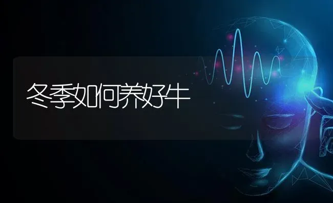 冬季如何养好牛 | 养殖知识