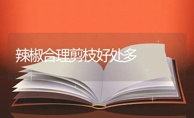 辣椒合理剪枝好处多 | 养殖技术大全