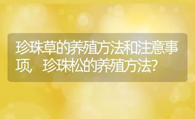 珍珠草的养殖方法和注意事项,珍珠松的养殖方法？ | 养殖科普