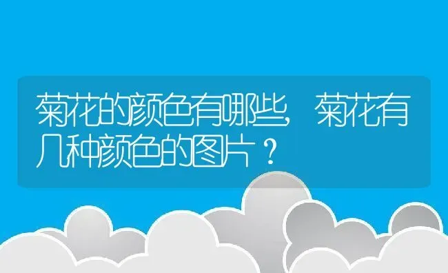 菊花的颜色有哪些,菊花有几种颜色的图片？ | 养殖学堂