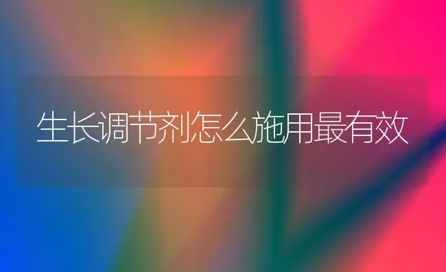 生长调节剂怎么施用最有效 | 养殖技术大全