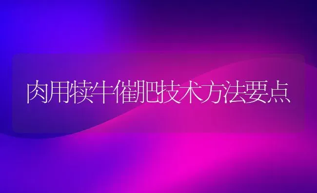 肉用犊牛催肥技术方法要点 | 养殖知识