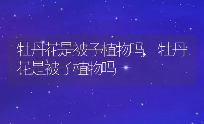 牡丹花是被子植物吗,牡丹花是被子植物吗 | 养殖科普