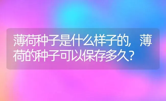 薄荷种子是什么样子的,薄荷的种子可以保存多久？ | 养殖科普