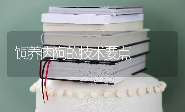 饲养肉狗的技术要点 | 养殖技术大全