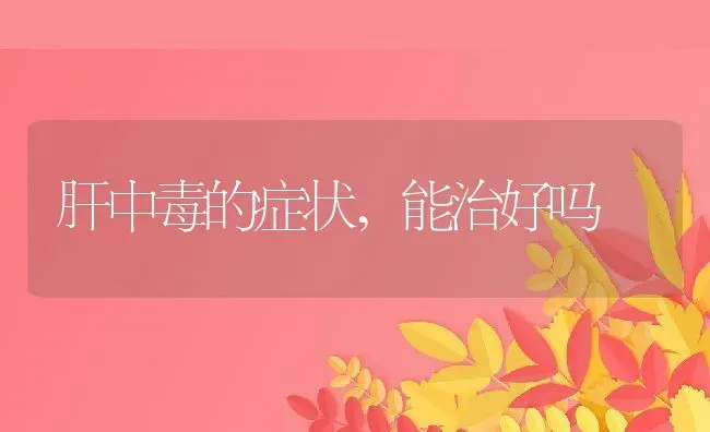 肝中毒的症状,能治好吗 | 养殖资料