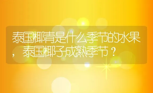 泰国椰青是什么季节的水果,泰国椰子成熟季节？ | 养殖科普