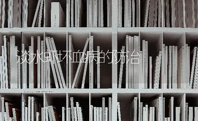 淡水虾坏血病的防治 | 养殖知识