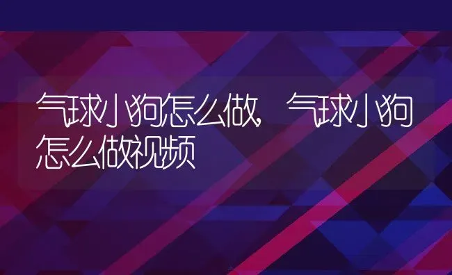 气球小狗怎么做,气球小狗怎么做视频 | 养殖科普