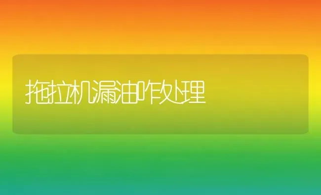 拖拉机漏油咋处理 | 养殖技术大全