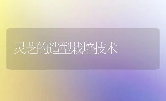 灵芝的造型栽培技术 | 养殖技术大全